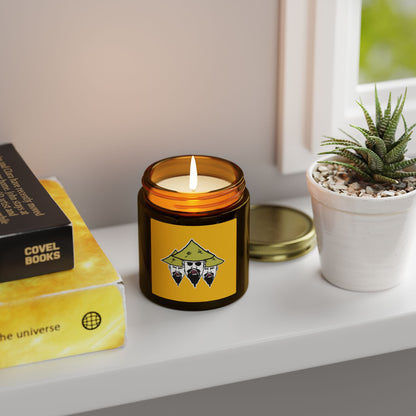 TROL Scented Candles, Coconut Apricot Wax (4oz, 9oz)