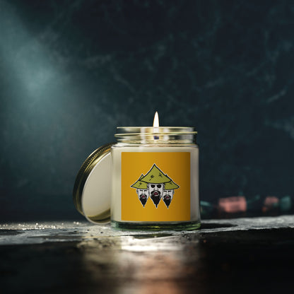 TROL Scented Candles, Coconut Apricot Wax (4oz, 9oz)