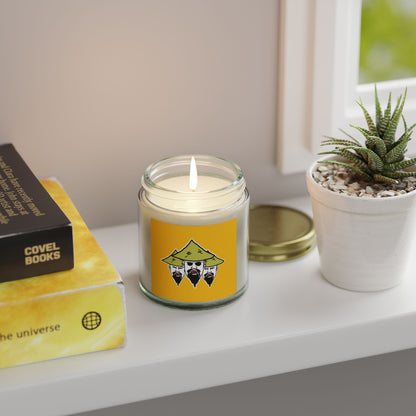 TROL Scented Candles, Coconut Apricot Wax (4oz, 9oz)